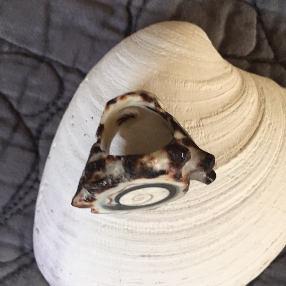 Shell Ring Handmade in Greece - Picture 3 of 5